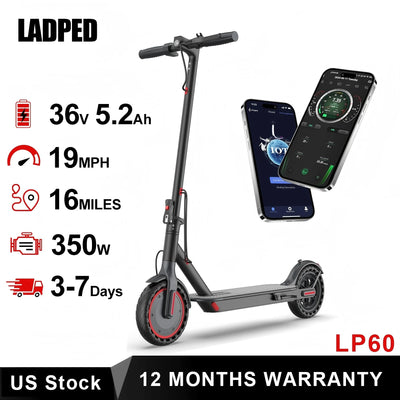 LP60 Electric Scooter 350W 19mph APP Smart Control Scooter 8.5inch tire Folding Electric Scooter 16miles Max Range for A