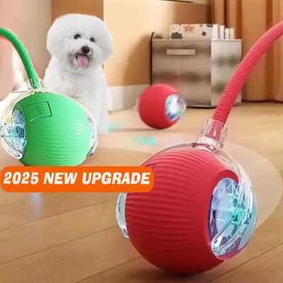 New Dog Interactive Ball Toy,Automatic Rolling Dog Ball Rechargeable,Smart Puppy Interactive Toy,Intelligent Balls Toy f