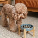[Macaroni] Slow Feeder Dog Bowls - Yellow / Frozen Blue / Purple